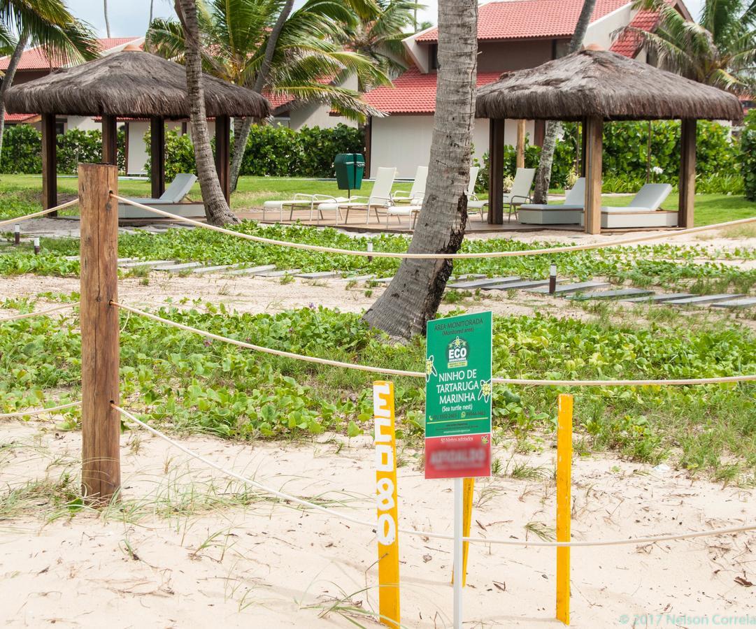 Apto Oka Beach Residence Pôrto das Galinhas エクステリア 写真